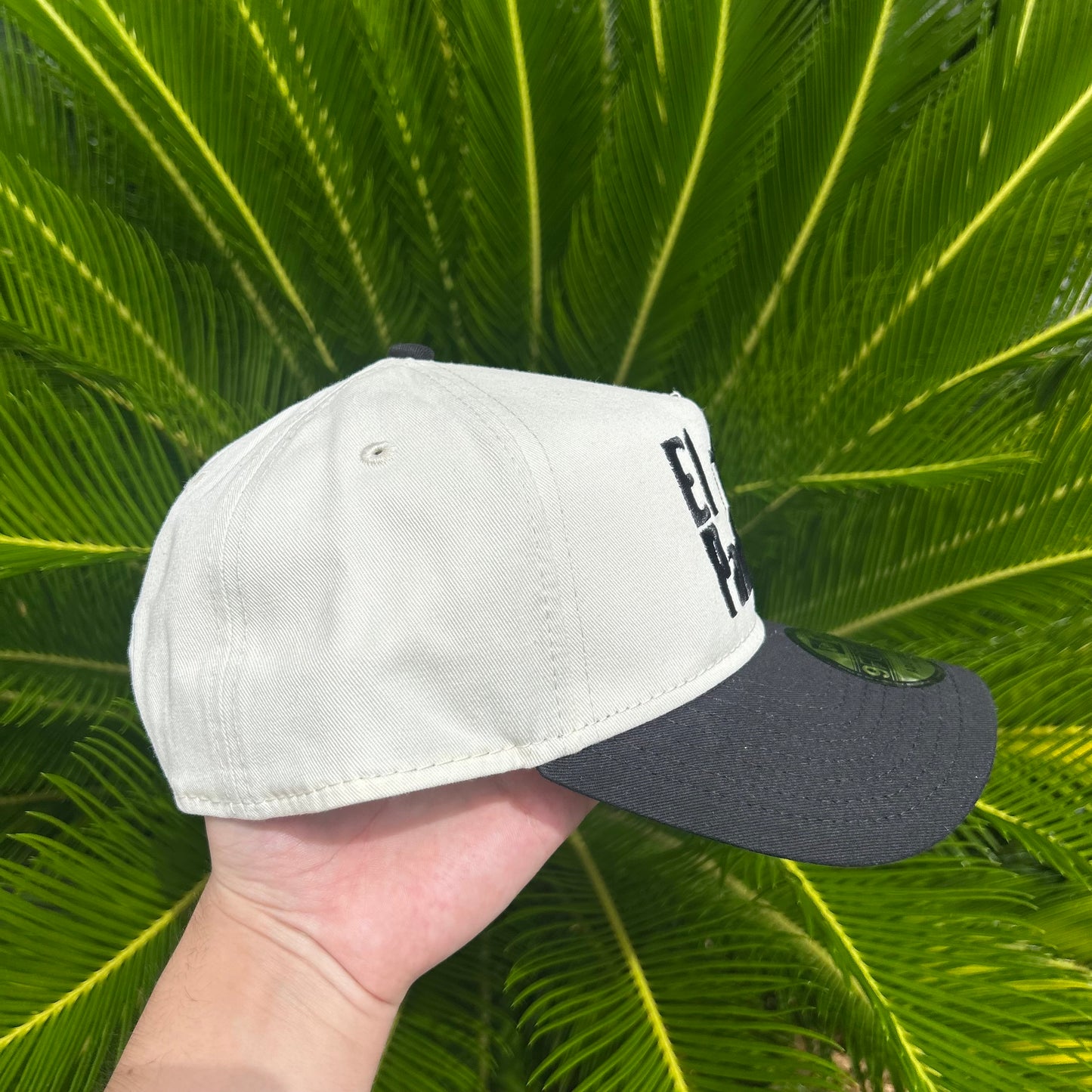 Gorra Exclusiva El Padrino “Godfather”