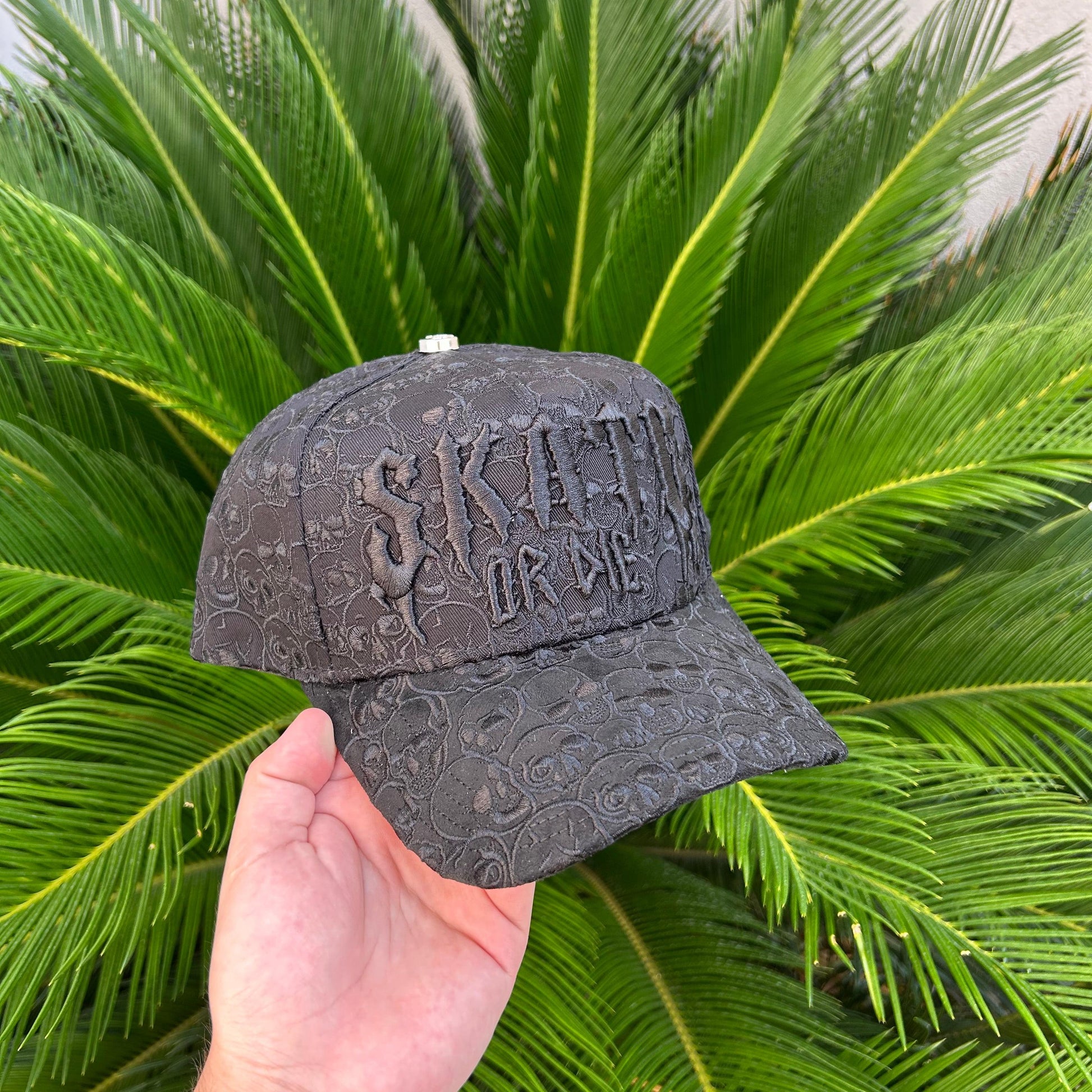 Gorra Barbas Hats x Rich The Kid Skate or Die - Hats Tricks