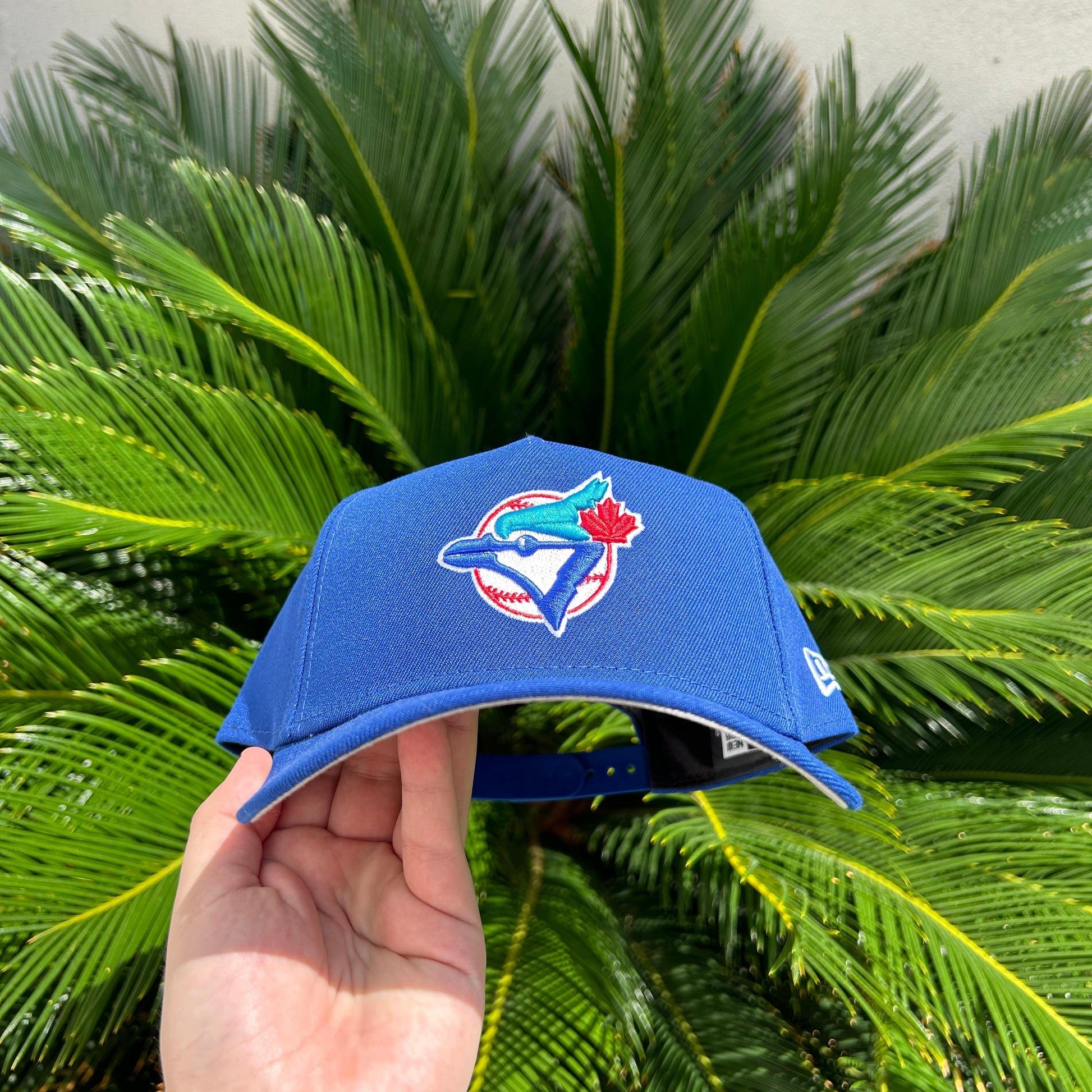 Gorra Exclusiva Clasica Blue Jays - Hats Tricks