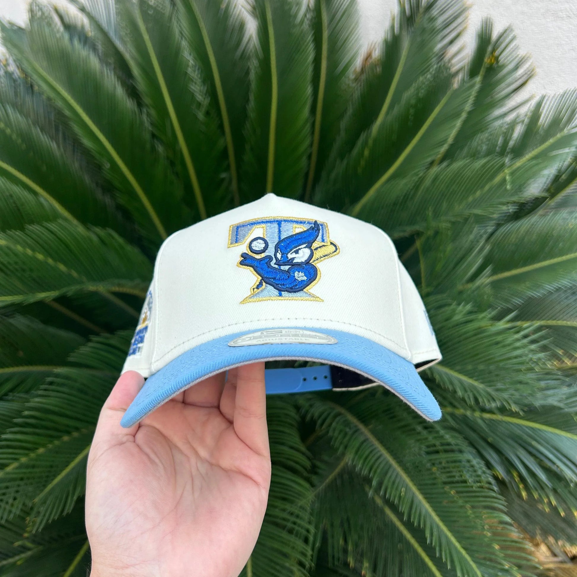 Gorra Exclusiva Blue Jays - Hats Tricks