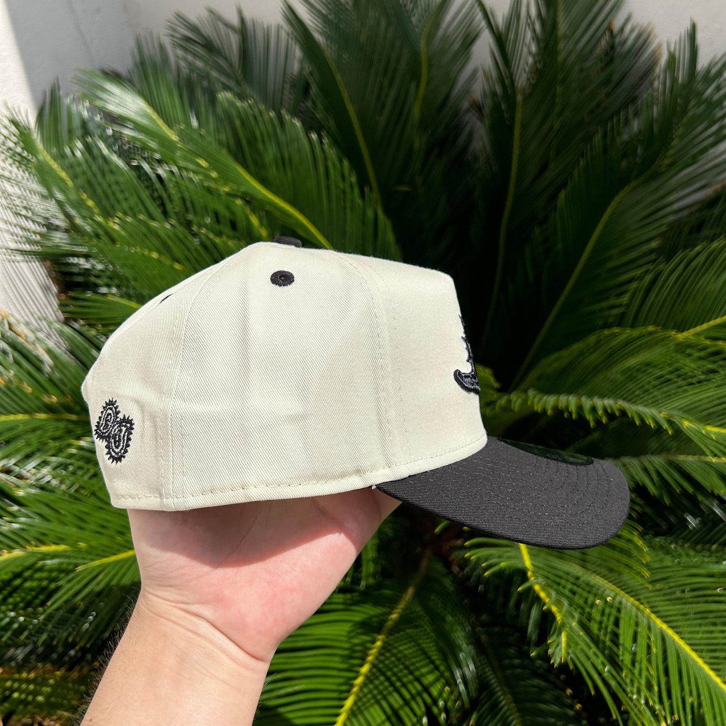 Gorra Exclusiva Miami Dolphins