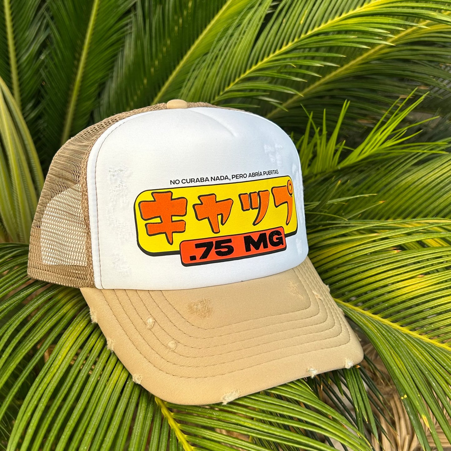 Gorra Exclusiva Steal Sashimi