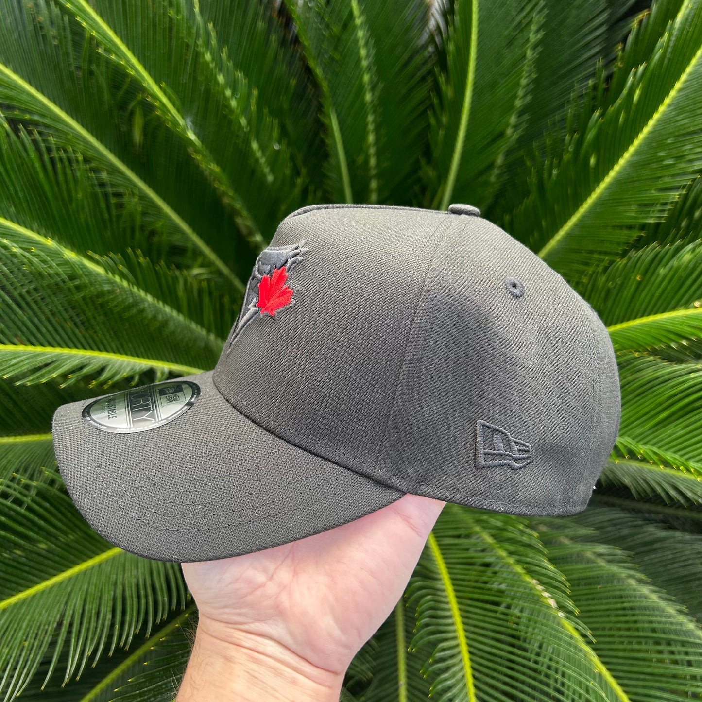 Gorra New Era Exclusiva Blue Jays