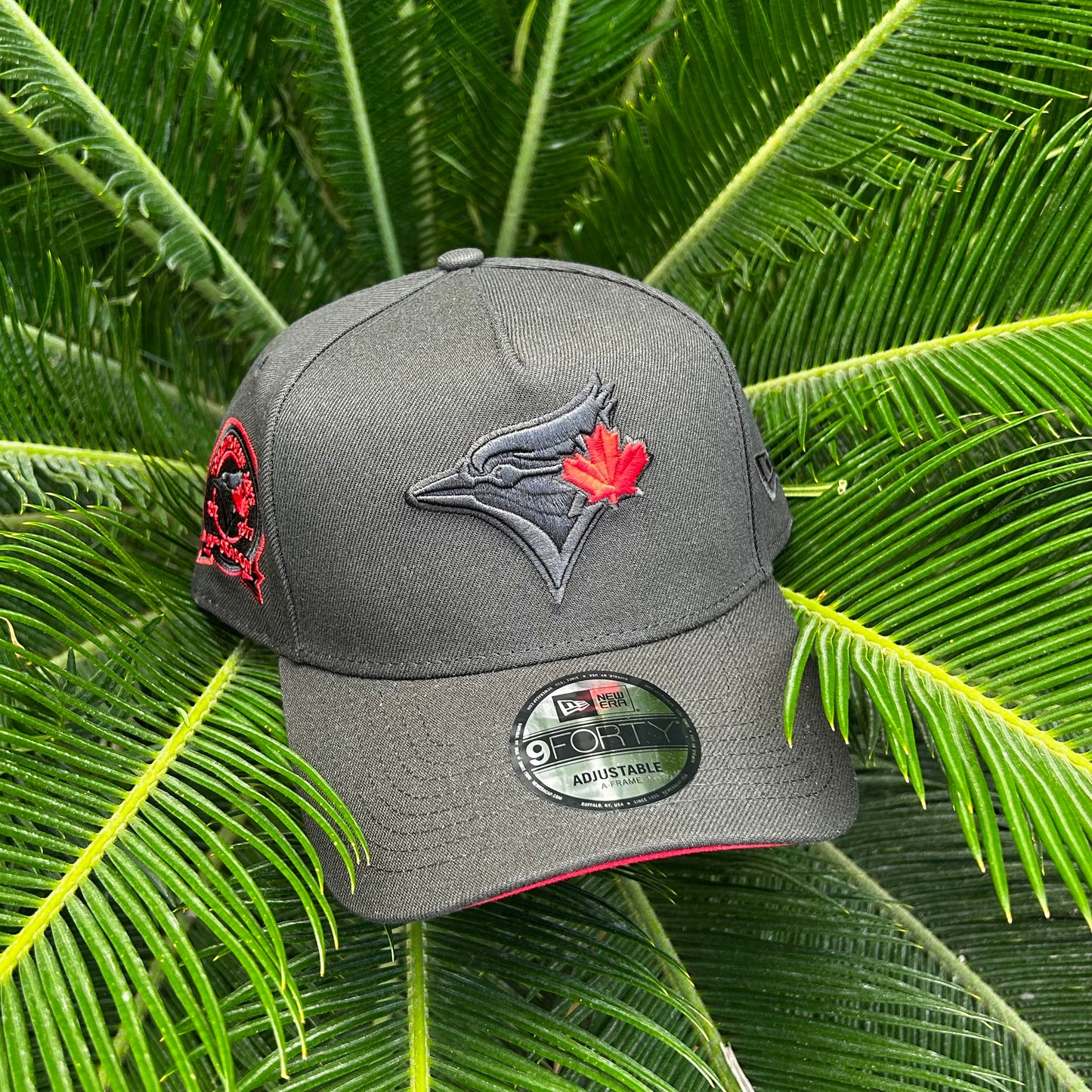 Gorra New Era Exclusiva Blue Jays