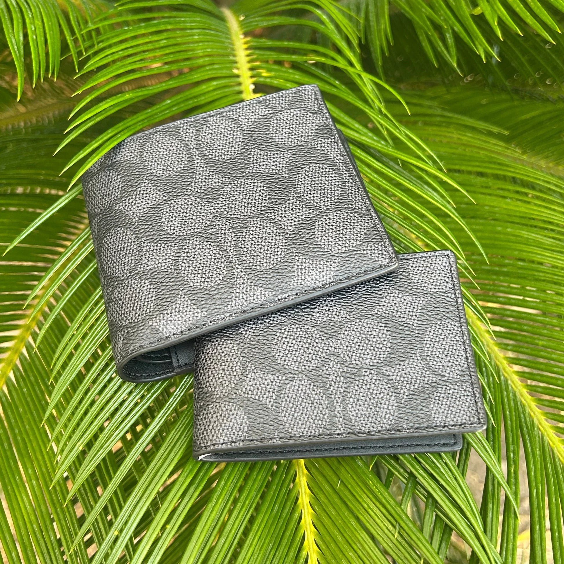 Tarjetero y Cartera Coach