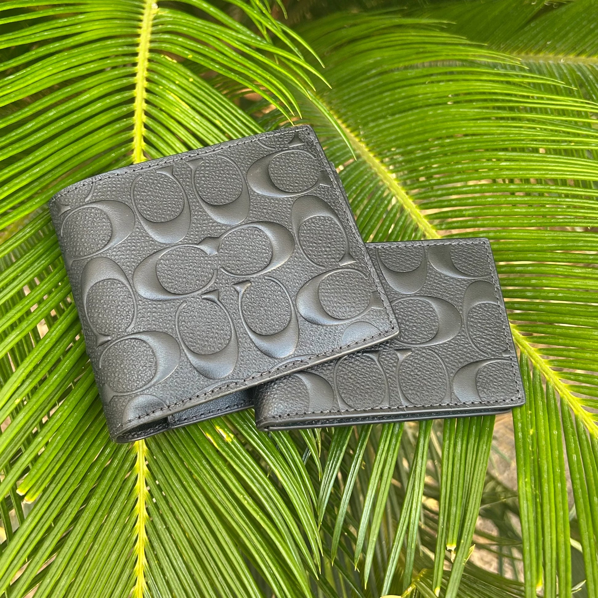 Tarjetero y Cartera Coach