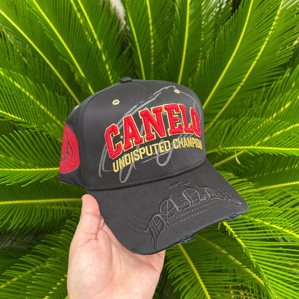 Gorra Dandy Hats x Canelo Alvarez ”Pound x Pound”